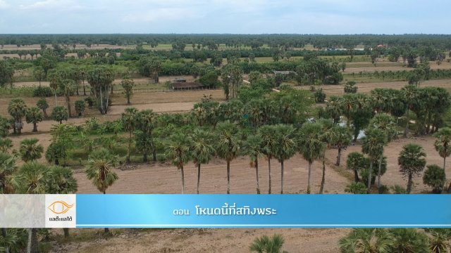 โหนดนี้ที่สทิงพระ