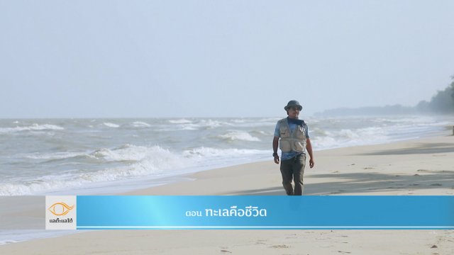 ทะเลคือชีวิต