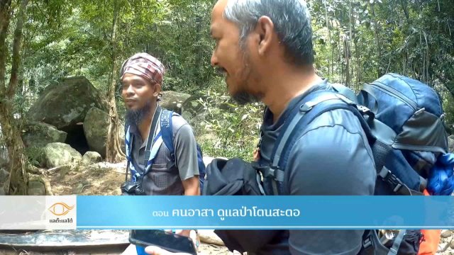 ฅนอาสา ดูแลป่าโตนสะตอ