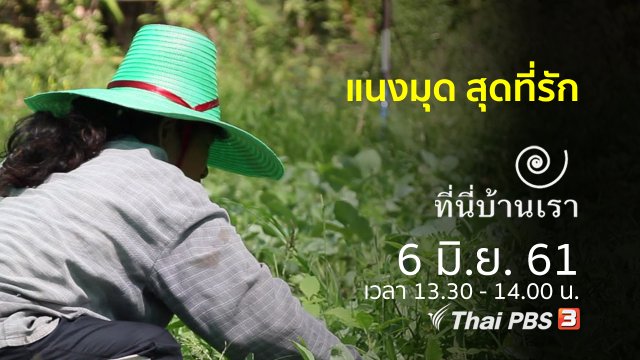 แนงมุด สุดที่รัก