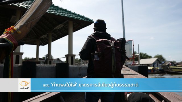 กำแพงไม้ไผ่ มาตรการสีเขียวสู้ภัยธรรมชาติ