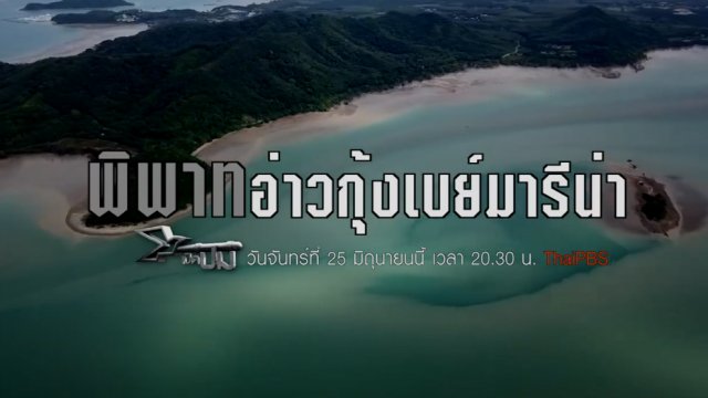 พิพาทอ่าวกุ้งเบย์มารีน่า