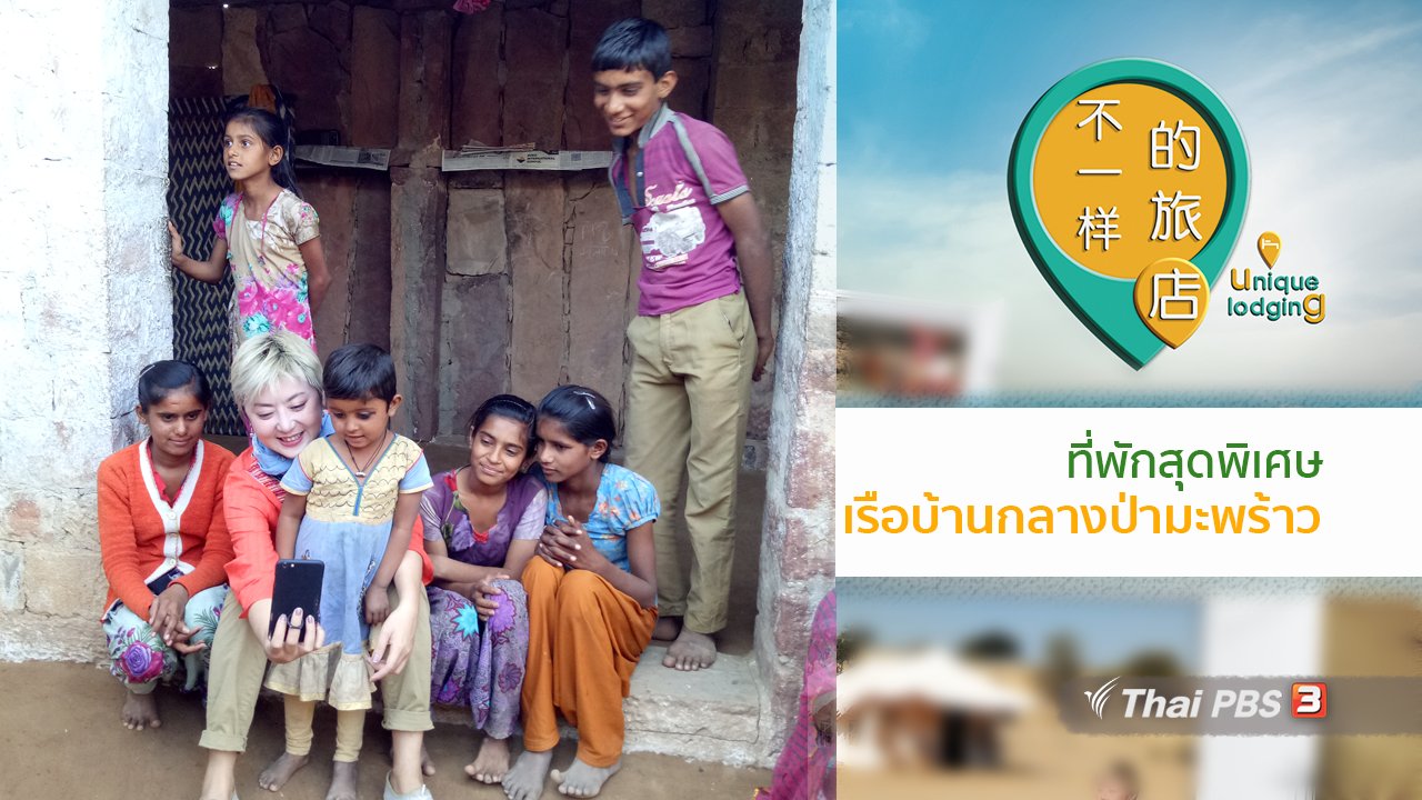 ที่พักสุดพิเศษ Unique Lodging - เรือบ้านกลางป่ามะพร้าว