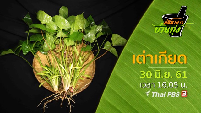 เต่าเกียด
