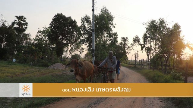 หนองเลิง เกษตรพลังลม​​​