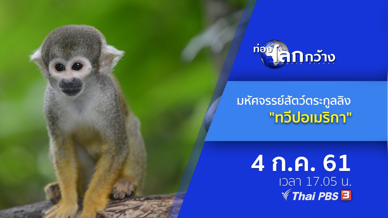 ท่องโลกกว้าง - มหัศจรรย์สัตว์ตระกูลลิง ตอน ทวีปอเมริกา