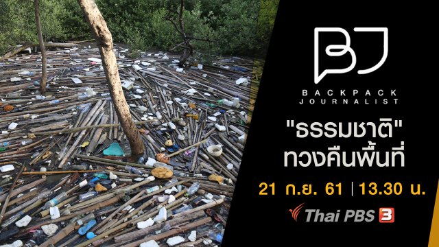 "ธรรมชาติ" ทวงคืนพื้นที่