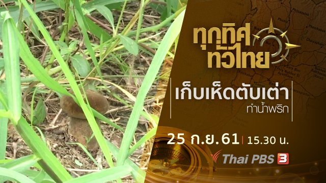ประเด็นข่าว ( 25 ก.ย. 61)