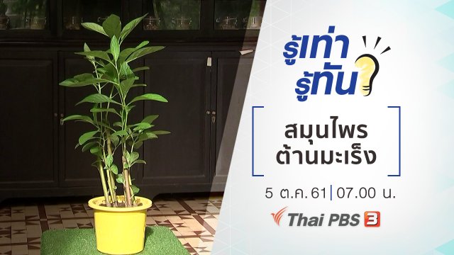 สมุนไพร ต้านมะเร็ง