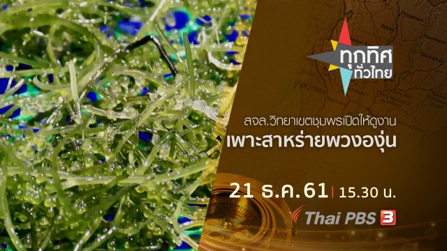 ประเด็นข่าว ( 21 ธ.ค. 61)