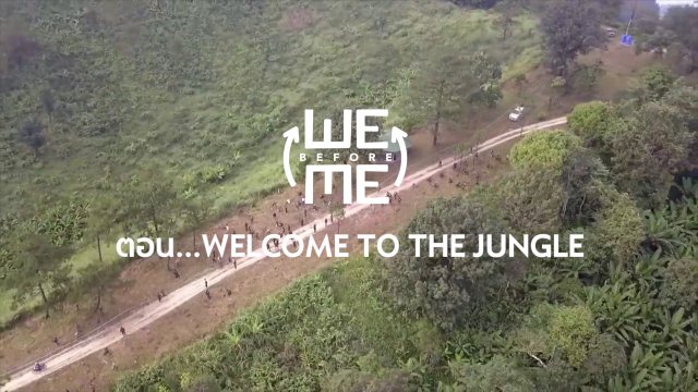 Welcome to The Jungle