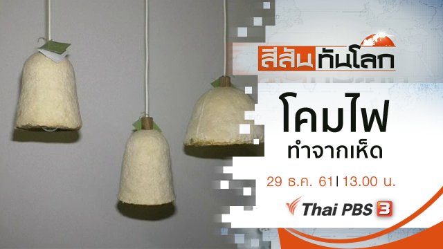 ประเด็นข่าว (29 ธ.ค. 61)