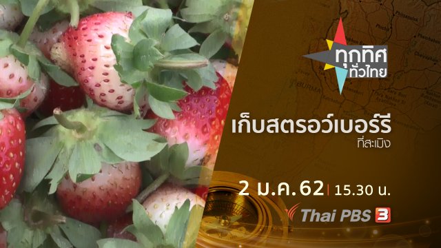 ประเด็นข่าว ( 2 ม.ค. 62 )