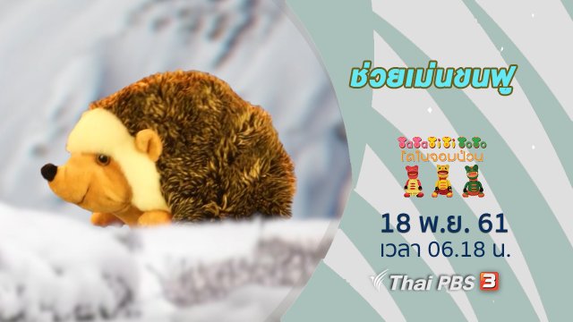 ช่วยเม่นขนฟู