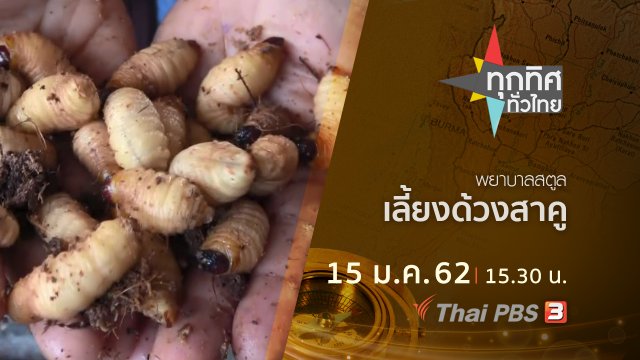 ประเด็นข่าว ( 15 ม.ค. 62 )