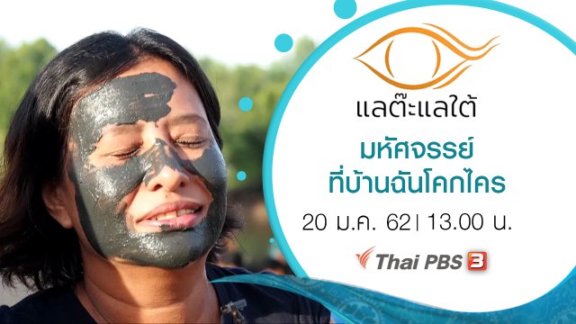 มหัศจรรย์ ที่บ้านฉันโคกไคร