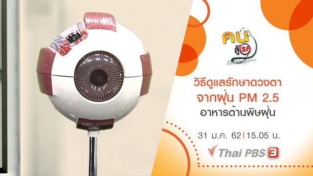 วิธีการดูแลรักษาดวงตาจากฝุ่น PM 2.5, อาหารต้านพิษฝุ่น