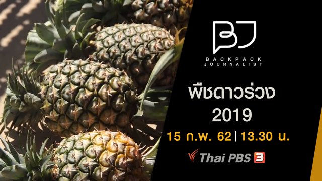 พืชดาวร่วง 2019