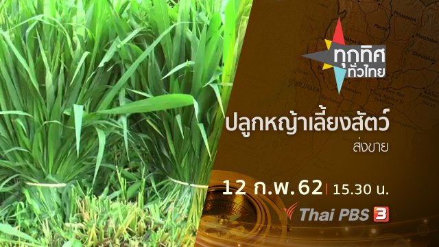 ประเด็นข่าว (12 ก.พ.62)