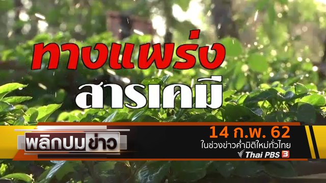 ทางแพร่งสารเคมี