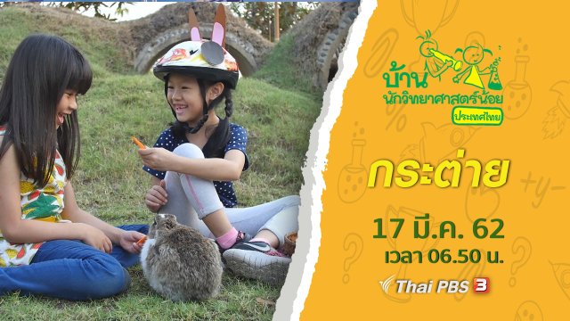 กระต่าย