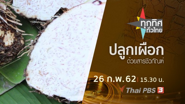 ประเด็นข่าว (26 ก.พ.62)