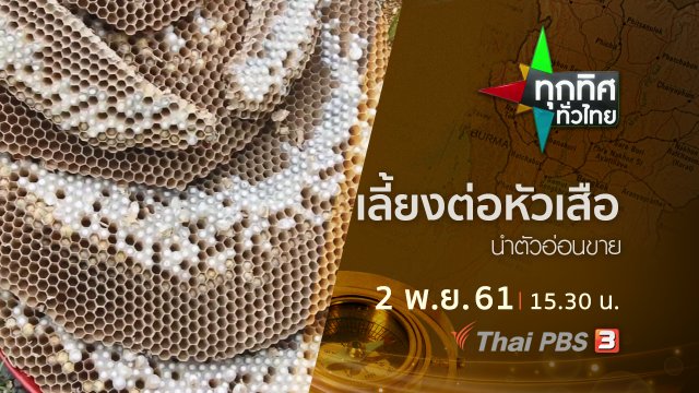 ประเด็นข่าว ( 2 พ.ย. 61)