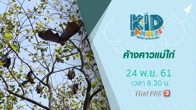 ค้างคาวแม่ไก่