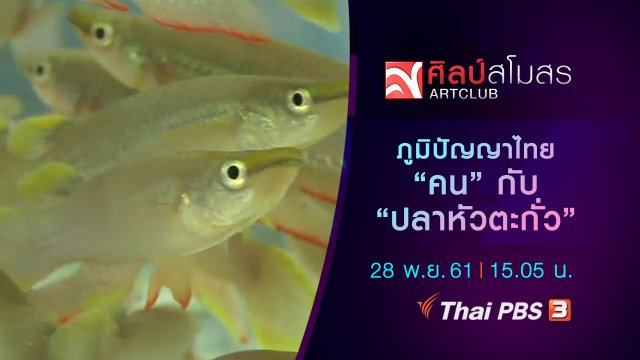 ภูมิปัญญาไทย "คน" กับ "ปลาหัวตะกั่ว"