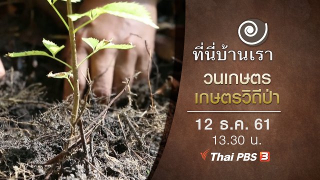 วนเกษตร เกษตรวิถีป่า