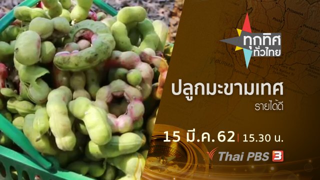 ประเด็นข่าว (15 มี.ค. 62)