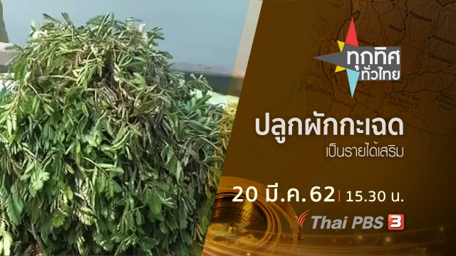 ประเด็นข่าว (20 มี.ค. 62)