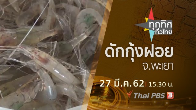 ประเด็นข่าว (27 มี.ค. 62)