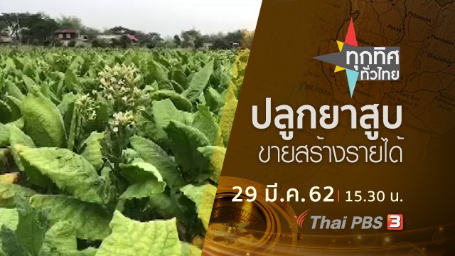 ประเด็นข่าว (29 มี.ค. 62)