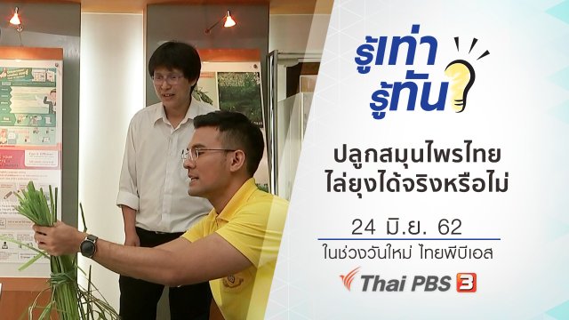 ปลูกสมุนไพรไทยไล่ยุงได้จริงหรือไม่