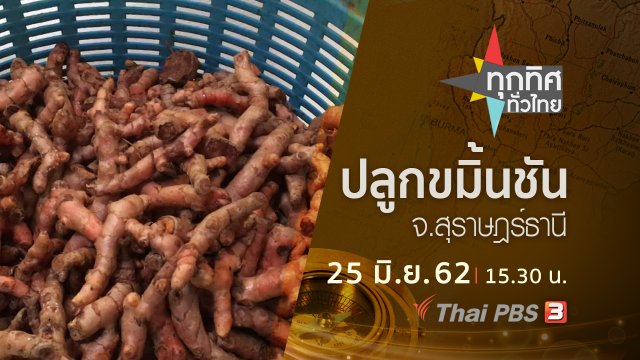 ประเด็นข่าว (25 มิ.ย. 62)