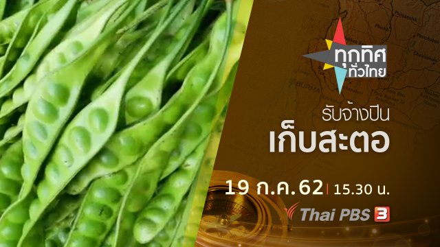 ประเด็นข่าว (19 ก.ค. 62)