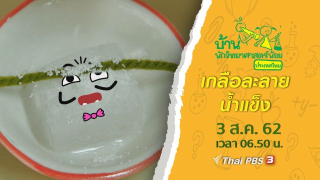เกลือละลายน้ำแข็ง