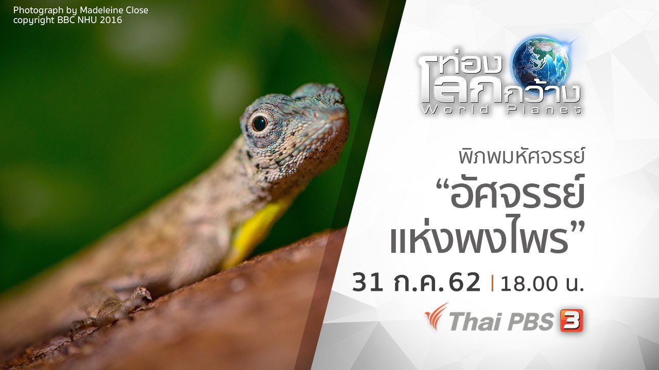 ท่องโลกกว้าง - พิภพมหัศจรรย์ ตอน อัศจรรย์แห่งพงไพร