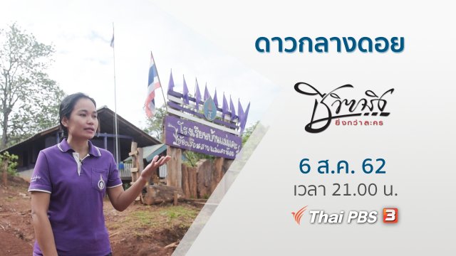 ดาวกลางดอย