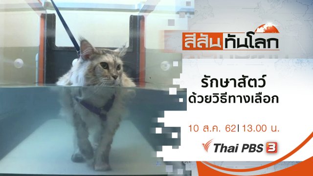 ประเด็นข่าว (10 ส.ค. 62)
