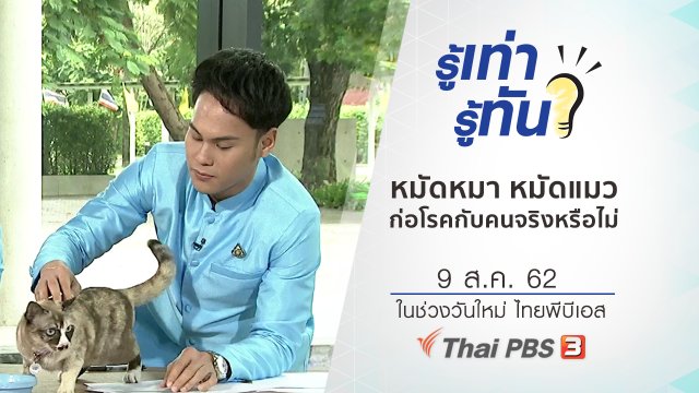 หมัดหมา หมัดแมว ก่อโรคร้ายกับคนจริงหรือไม่