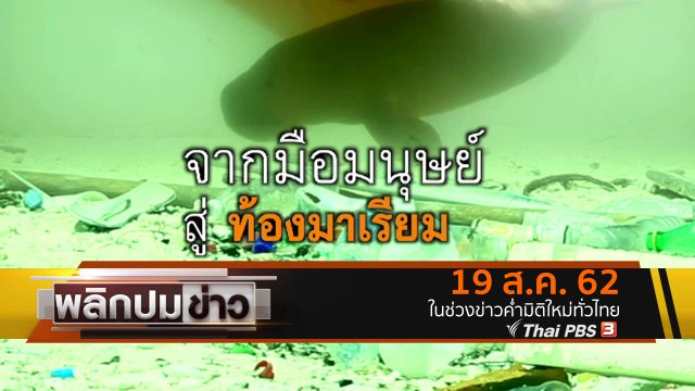 จากมือมนุษย์ สู่ท้องมาเรียม