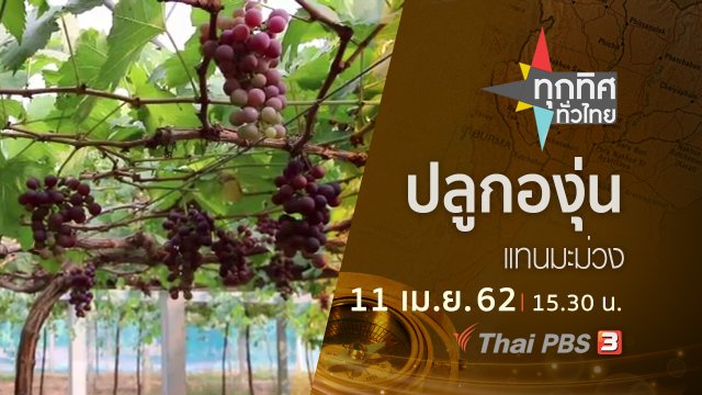 ประเด็นข่าว (11 เม.ย. 62)