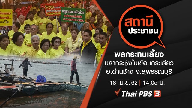 ผลกระทบเลี้ยงปลากระชังในเขื่อนกระเสียว อ.ด่านช้าง จ.สุพรรณบุรี​​