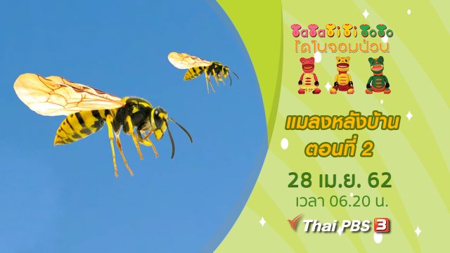 แมลงหลังบ้าน ตอนที่ 2