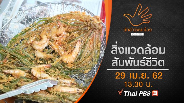 สิ่งแวดล้อมสัมพันธ์ชีวิต