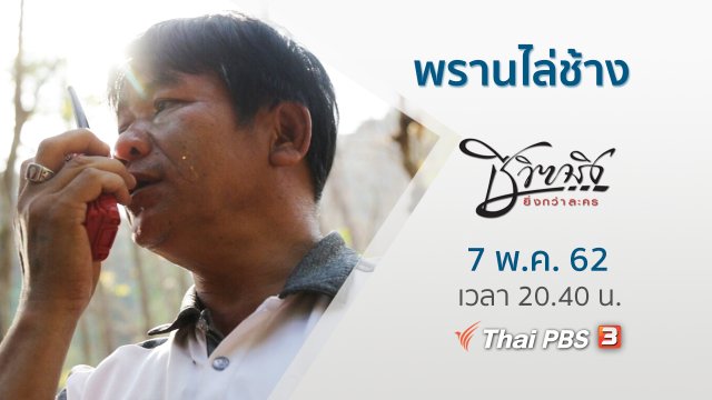 พรานไล่ช้าง