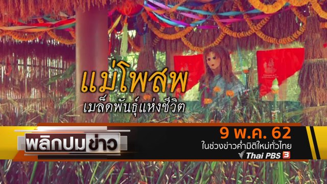 แม่โพสพ เมล็ดพันธุ์แห่งชีวิต