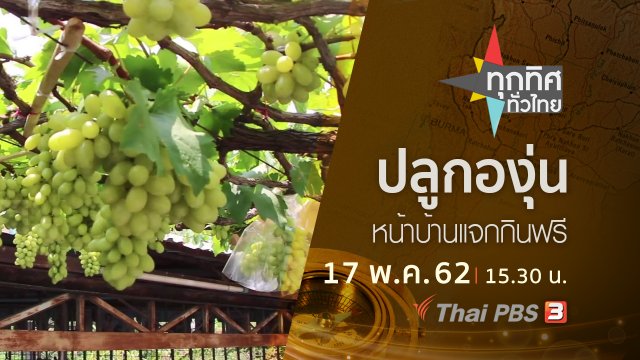 ประเด็นข่าว (17 พ.ค. 62)